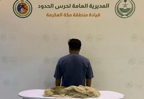 جدة.. ضبط مقيم اصطاد أسماكاً دون تصريح
