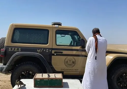 تشهير.. حامد الرفاعي اصطاد صقراً وسماناً في ينبع