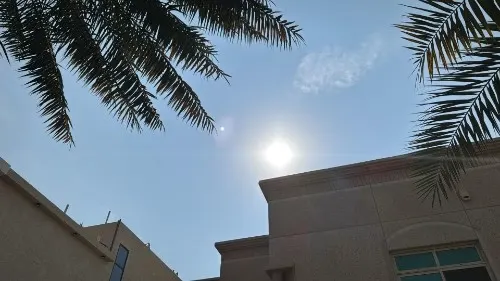 طقس القطيف.. نهار مشمس وحرارة تصل إلى 30 مئوية