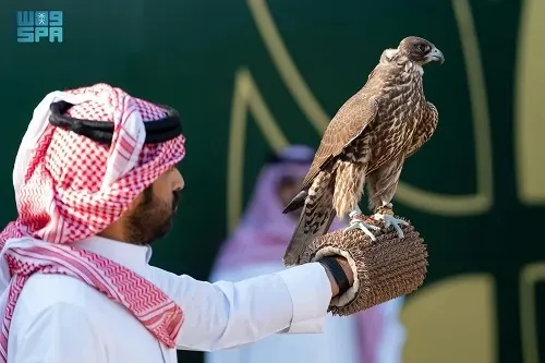 الخبر.. تتويج 60 فائزاً في أول أيام كأس نادي الصقور
