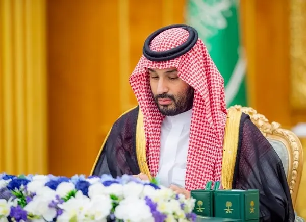 مجلس الوزراء: الموافقة على نظام حماية المؤشرات الجغرافية وإنشاء محميتين بحريتين