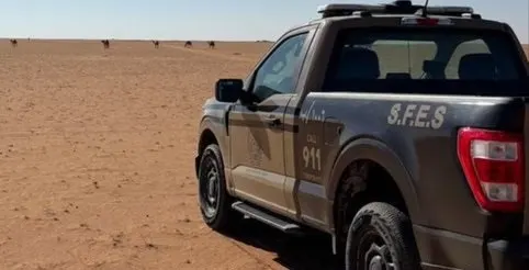 في الرياض وتبوك.. ضبط تاجر حطب وراعي إبل في منطقة محظورة