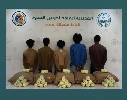 16 مروجًا ومهربًا حصيلة 24 ساعة من الحرب على المخدرات