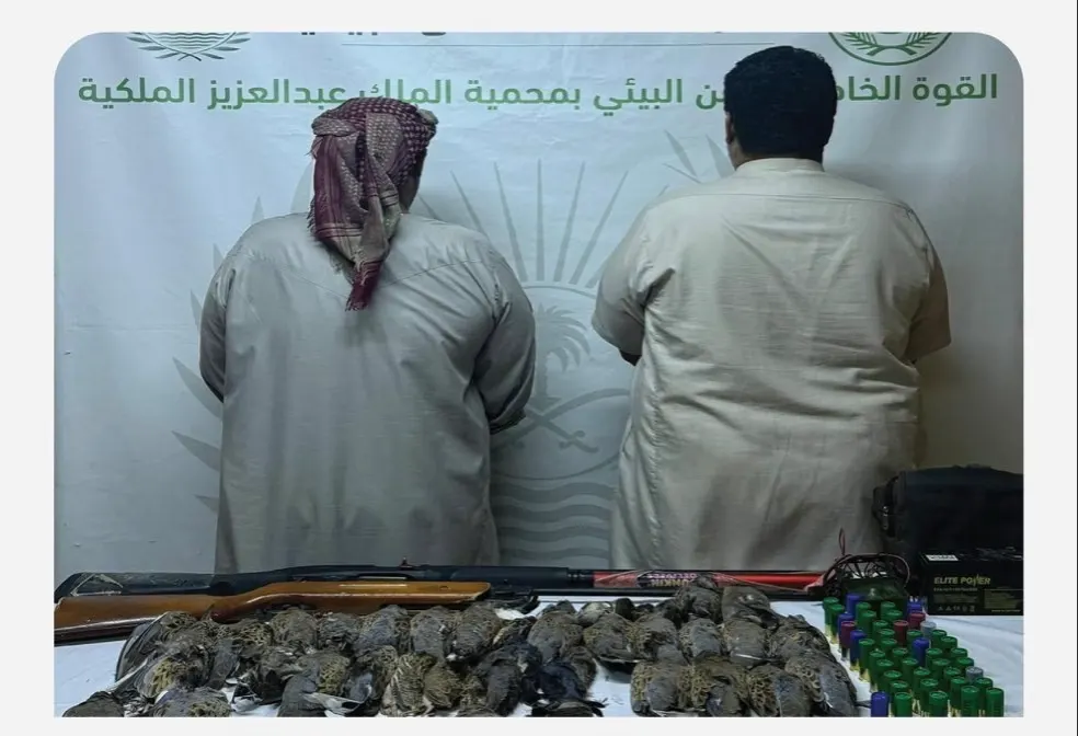 تشهير.. مسحل وسلطان الشيباني اصطادا في المحظور