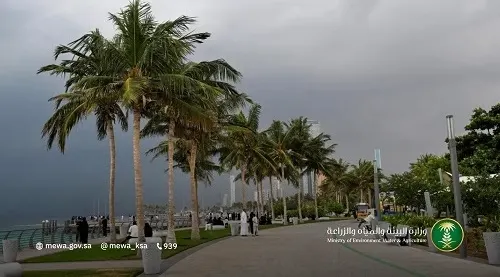 جدة الأعلى مطراً بـ 133.2 ملم