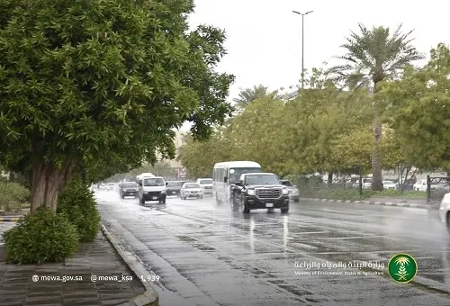 خلال 24 ساعة.. الخفجي الأعلى مطراً بـ 31 ملم