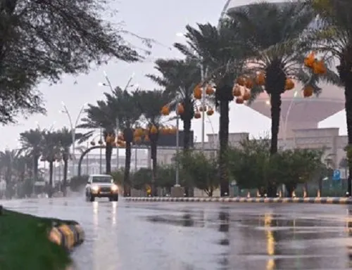 خلال 24 ساعة.. عنيزة الأعلى مطراً بـ 66.5 ملم