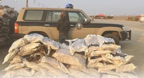 ضبط تاجر حطب محلي في الشرقية