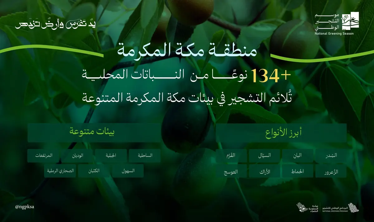 انتشار جديد لـ 134 نوعًا من النباتات في مكة