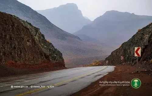 تبوك الأعلى مطراً بـ 118.5 ملم