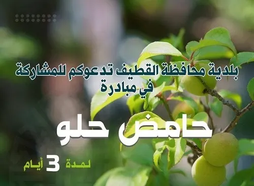 صفوى.. 3 أيام لـ “حامض حلو”