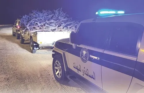نقل حطب ورعي وإشعال نار.. ضبط 5 مخالفين لأنظمة البيئة