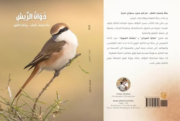 15 عاماً من الرصد يوثقها فيصل هجول في “ذوات الريش”