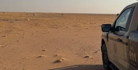 إشعال نار ورعي محظور.. ضبط 3 مخالفين لأنظمة البيئة