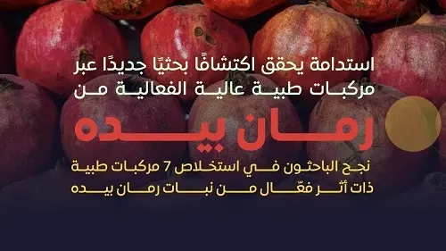 “رمان بيده”.. استخلاص 7 مركبات تكافح سرطان القولون