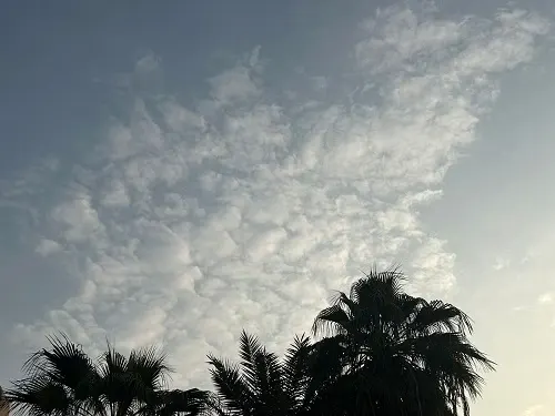 سماء القطيف صافية.. أجواء دافئة نهاراً وليلة منعشة عند 17°
