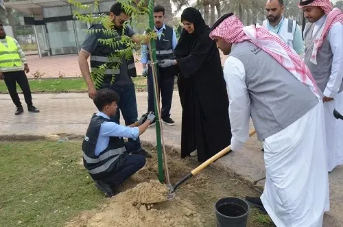 الدمام.. 200 شجرة جديدة في الواجهة البحرية