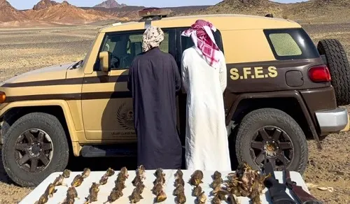 تشهير] ماجد وخالد الرشيدي اصطادا 49 طيراً دون ترخيص