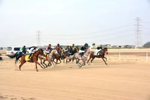 فروسية الدمام.. جارودية الغمغام تتصدر منافسات الخيل العربية