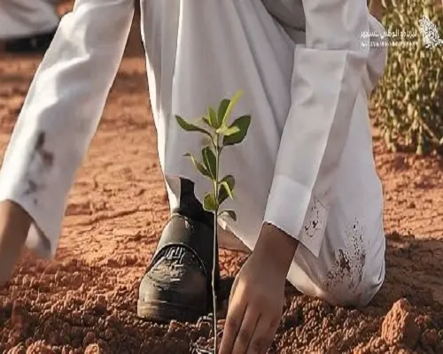 تنطلق قريبا.. 6 أهداف رئيسية لـ “منصة التشجير”