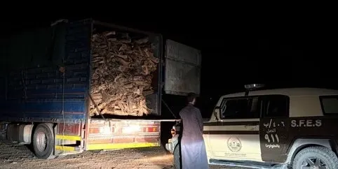 في يوم واحد.. ضبط 4 مواطنين خالفوا أنظمة البيئة