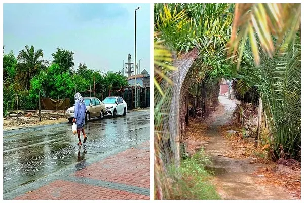مطر التوبي