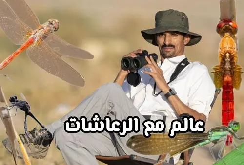 في مستنقعات “طفيح”.. فيصل هجول يلاحق “أقدم الطيارين”