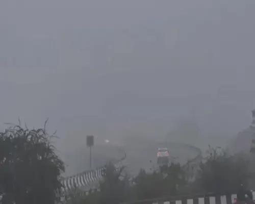 من 11 مساءً.. ضباب كثيف في القطيف وما حولها