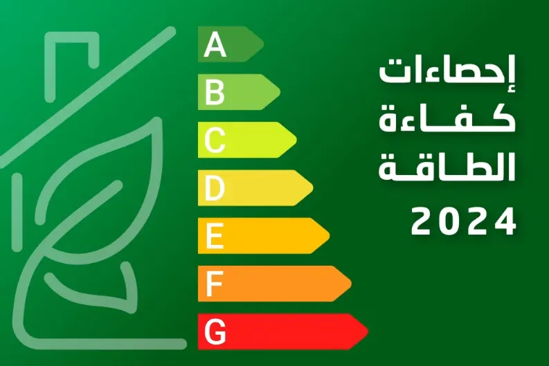 القطاع الحكومي الأعلى استهلاكا للكهرباء في 2024