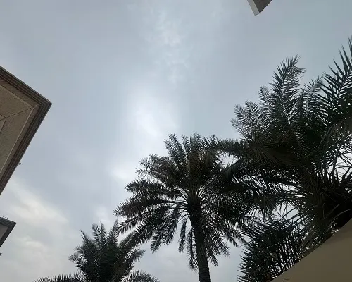 طقس بارد وغائم في القطيف.. وتوقعات هطول أمطار خفيفة