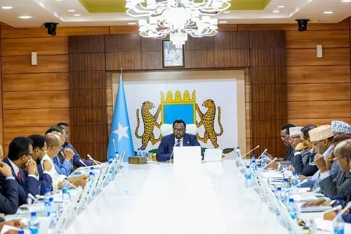 الصومال ينهي جميع اتفاقياته مع الإمارات