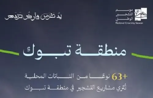 تشمل 63 نوعا السدر يتصدر قائمة النباتات الملائمة للتشجير بتبوك