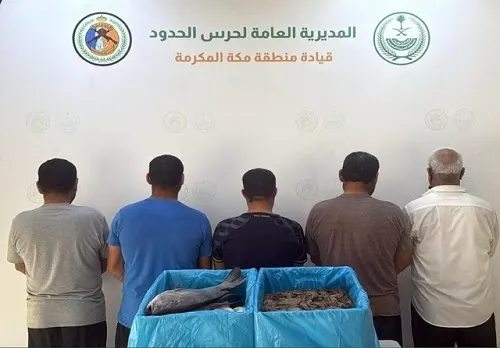 8 مخالفين في قبضة الأمن البيئي وحرس الحدود
