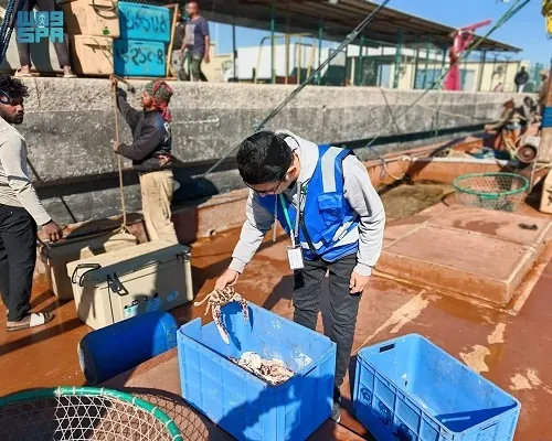 بينها القطيف ودارين والزور.. الثروة السمكية تحرك فرق رقابة في 12 مرفأً بحرياً شرقياً