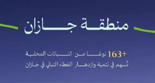 جازان.. الأراك يتصدر 163 نوعا نباتيا ملائما للتشجير