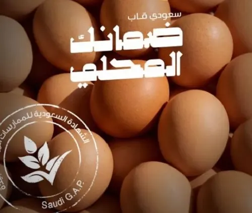 إنتاج الشرقية تجاوز المليار “سعودي قاب” يغطي 82% من بيض المائدة
