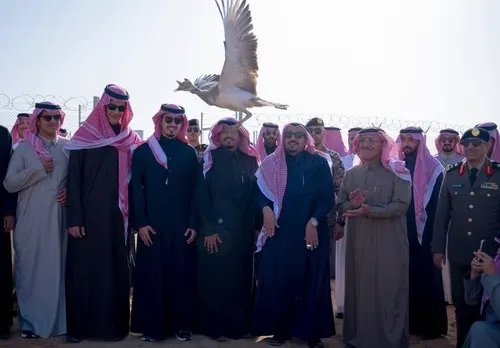 إطلاق 20 طائر حبارى في القصيم