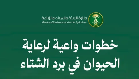 تفقّد أسفل المركبة 4 نصائح لرعاية الحيوانات في برد الشتاء