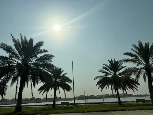 درجات الحرارة بين 12 و20 صباح مشمس وسماء صافية في القطيف