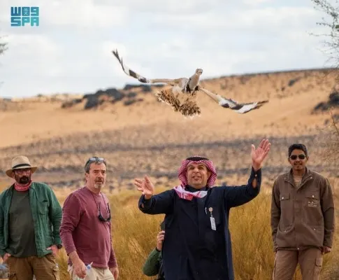 بعد غياب 35 عاما إطلاق 20 حبارى في محمية الأمير محمد بن سلمان