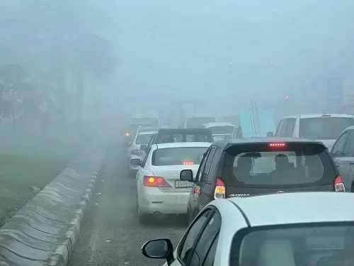 ضباب القطيف
