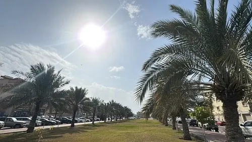 القطيف.. أجواء دافئة بدرجة حرارة 26 مئوية