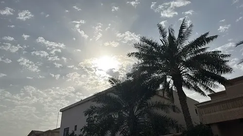 القطيف.. سماء شبه صافية ودرجة حرارة تصل إلى 24 مئوية