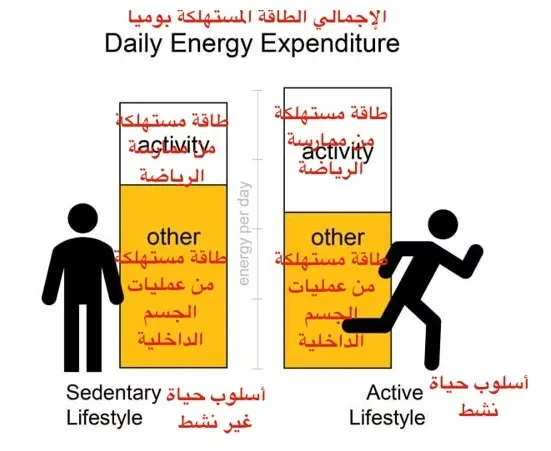 الرياضة وحدها لا تكفي لإنقاص الوزن.. لماذا..؟