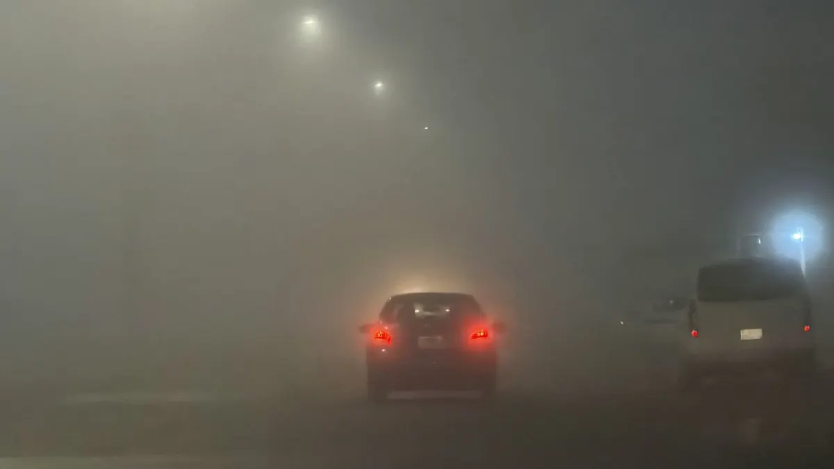 صباح الضباب