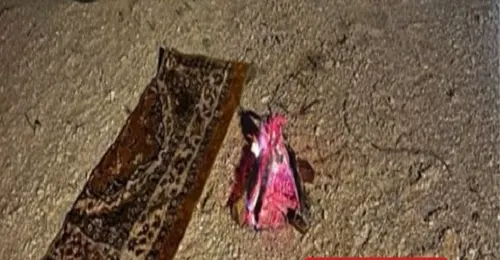 رعي وتخييم وإشعال النار.. ضبط 3 مخالفين للبيئة