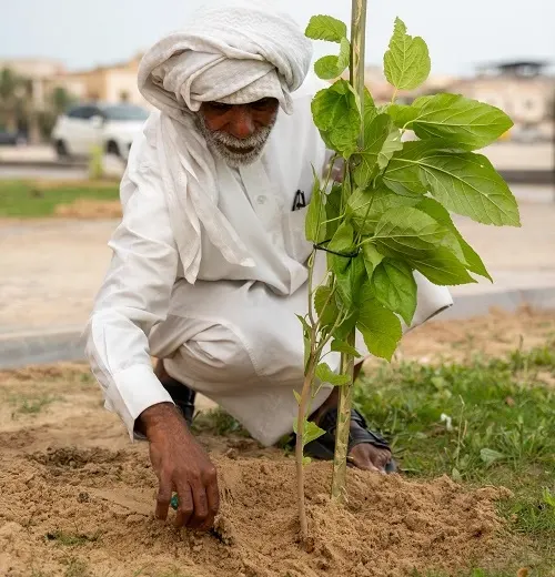 ضمن مبادرة "حدائق بلدي" حديقة المجيدية أكثر خُضرة بسواعد 48 متطوعاً ومتطوعة