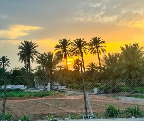 “سلوم الشمس”.. مفردة بحرانية من اللغة الأكدية
