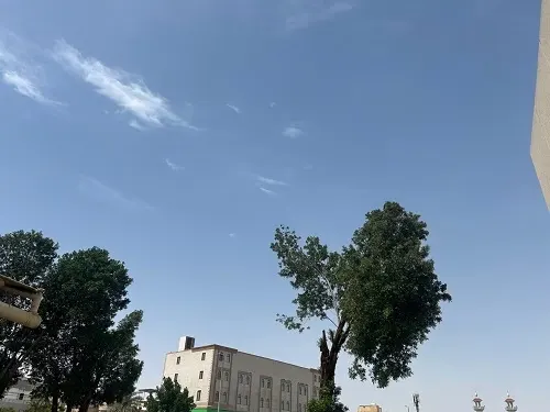 القطيف.. سماء صافية ودرجة الحرارة 28 مئوية