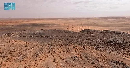 طائرات الصحراء الحجرية